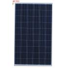 多晶太阳能电池板(260w)