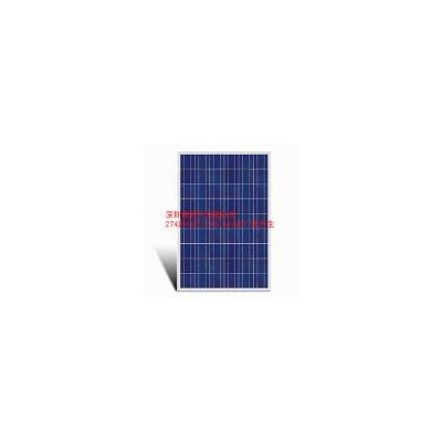太阳能电池组件(ZY-P300)
