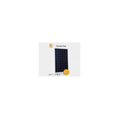 200W多晶硅太阳能电池板(KDSM-200W-P)