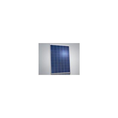 多晶硅太阳能组件(JKMS260P-60)