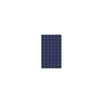 多晶156太阳能电池板(BW-SM250-265P60)