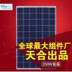 太阳能电池板(TSM-250PC05A)