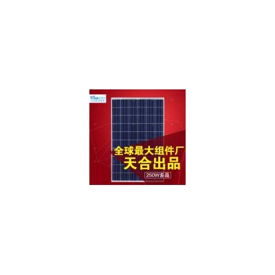 太阳能电池板(TSM-250PC05A)图1