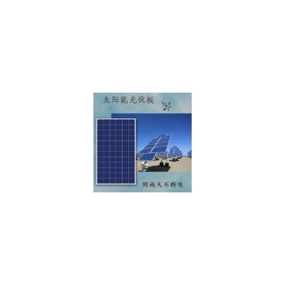 单晶太阳能板(LTP320W)