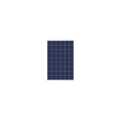 多晶156太阳能电池板(BW-SM230-240P54)