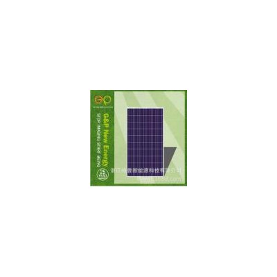 层压太阳能电池板(GPP245W)