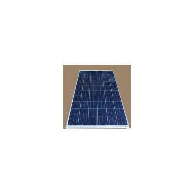 156多晶240W太阳能电池板(SKT240P-156)