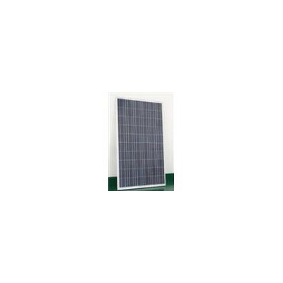 240W多晶硅太阳能电池板(PS-240P-30V)