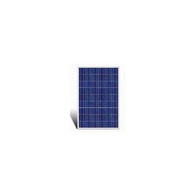 60W太阳能电池板(PS-60P)
