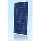 太阳能多晶电池板(SHP-120W)