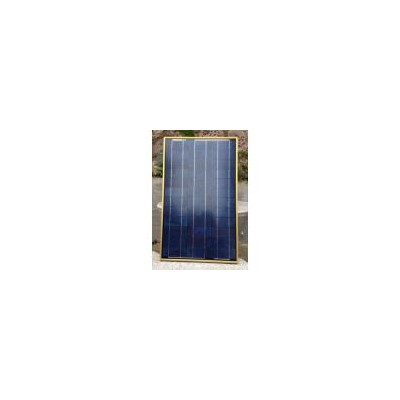 60W多晶太阳能电池板(DS60P)