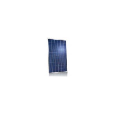250W多晶太阳能电池板(BTS-P250-60)
