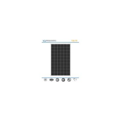 多晶硅太阳能板(WSM250P156)