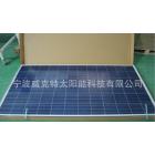 250W多晶太阳能电池板(VSP250-60)