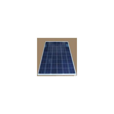 156多晶220W太阳能电池板(SKT220P-156)
