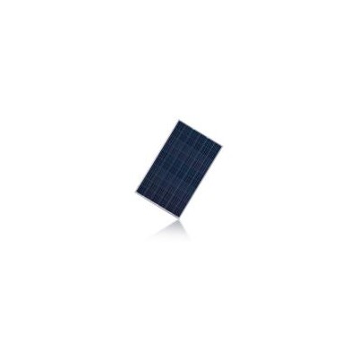 多晶太阳能电池板(LP156*156-P-60)