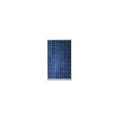 多晶硅太阳能组件(CEC6-60-230PA)