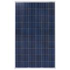 [新品] 230W多晶太阳能电池板(QJP230-60)