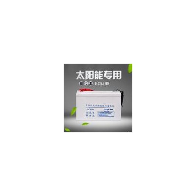 [新品] 免维护铅酸蓄电池(12V80Ah)
