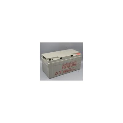 铅酸免维护蓄电池(NPP-65)