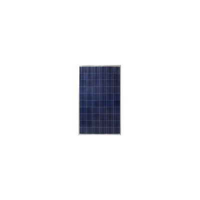 [新品] 多晶硅太阳能电池组件(SUN-240-60P)