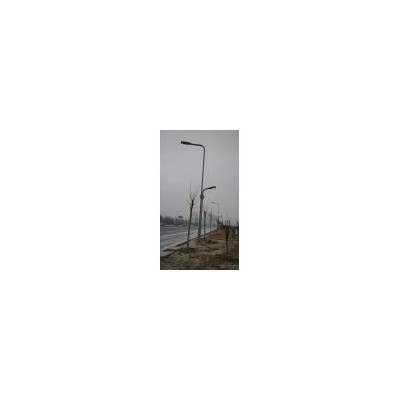 太阳能路灯(HQ-TYN-09)
