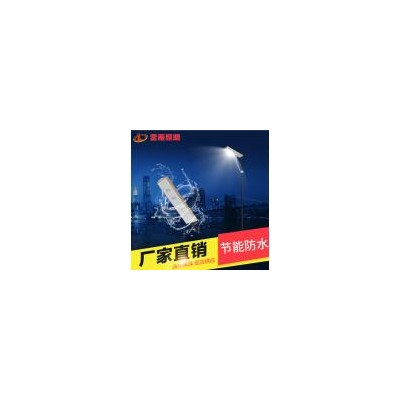 20W一体化太阳能路灯(LY-LD-004-20W)