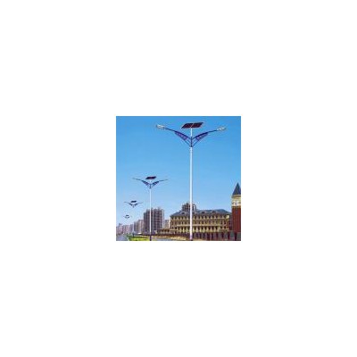 太阳能景观灯厂家太阳能发电机系统(40w)