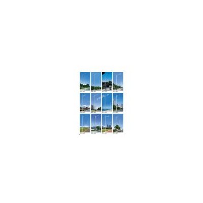 道路灯(DLD00601)