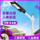 分体式太阳能路灯