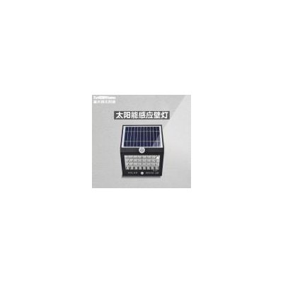 太阳能防水LED感应壁灯(XT-S8801)
