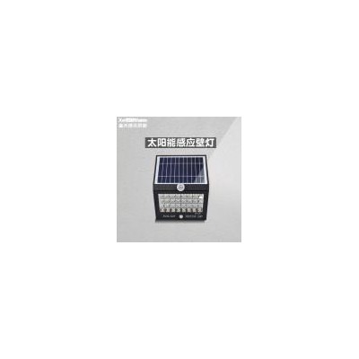 太阳能防水感应壁灯(XT-S8801)