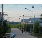 [促销] 太阳能路灯(SMR-LDD-003)