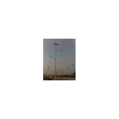 风光互补太阳能路灯(SFG01-60W)