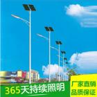 太阳能路灯(TYN-004)