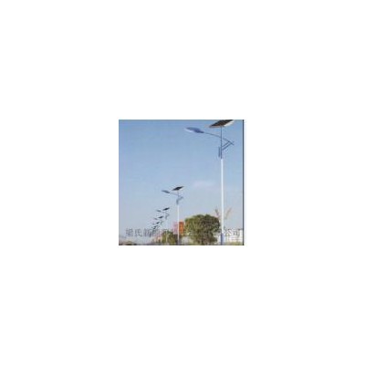 [新品] 太阳能路灯(LS-R05-48)