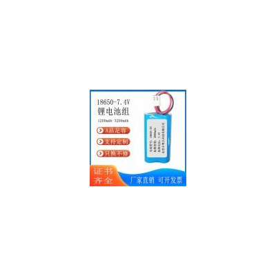 18650锂电池组(2000mAh)