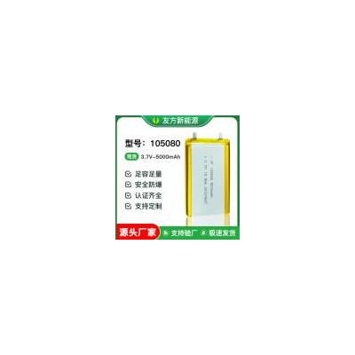 聚合物锂电池(5000mAh)