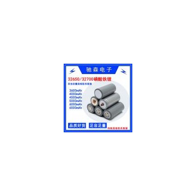 锂电池(6000 mah)