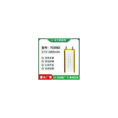 聚合物锂电池(2800mAh)