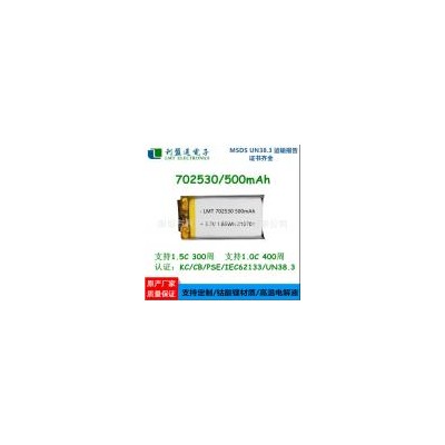 聚合物锂电池(500mAh)