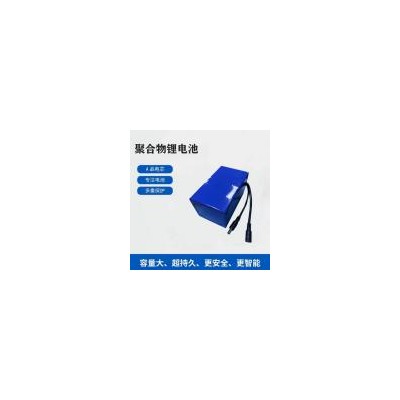 聚合物锂电池组(9200mah)