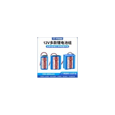 动力电池(1500mAh)