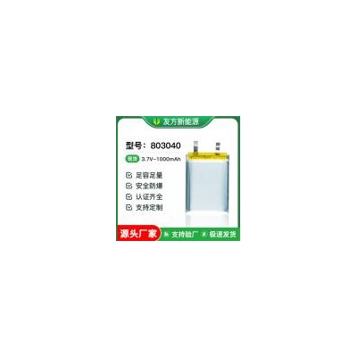 聚合物锂电池(1000mAh)