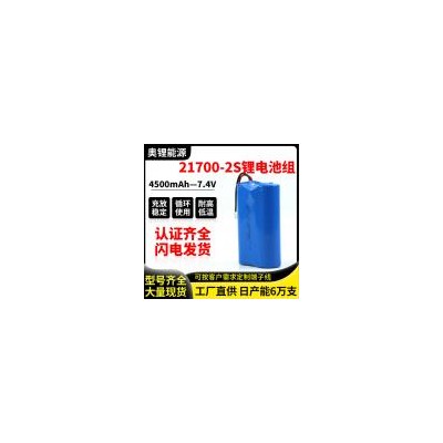 21700动力锂电池组(4500mAh)