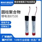 圆柱形锂电池(300mAh)