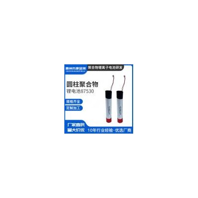 圆柱形锂电池(300mAh)