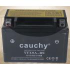 铅酸蓄电池(YTX9A-BS)