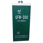 [促销] 直流屏用蓄电池(GFM-300)
