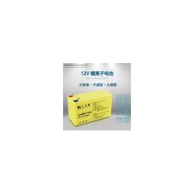 磷酸铁锂电池组(6595150P)